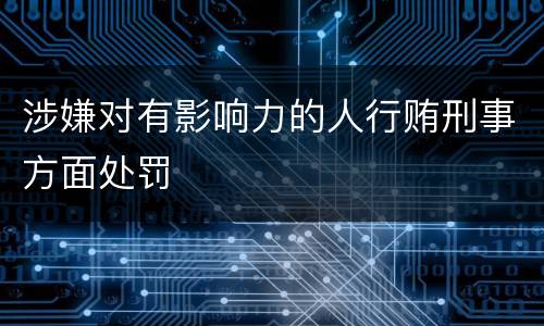 涉嫌对有影响力的人行贿刑事方面处罚