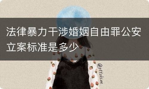 法律暴力干涉婚姻自由罪公安立案标准是多少