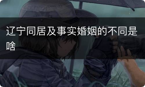 辽宁同居及事实婚姻的不同是啥