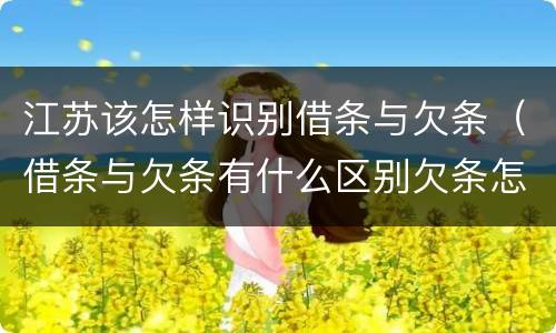 江苏该怎样识别借条与欠条（借条与欠条有什么区别欠条怎么写）