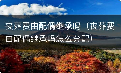 丧葬费由配偶继承吗（丧葬费由配偶继承吗怎么分配）