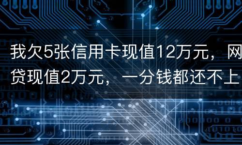 我欠5张信用卡现值12万元，网贷现值2万元，一分钱都还不上了，会判多少年