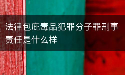 法律包庇毒品犯罪分子罪刑事责任是什么样