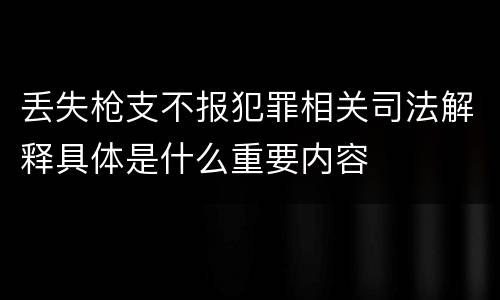 丢失枪支不报犯罪相关司法解释具体是什么重要内容