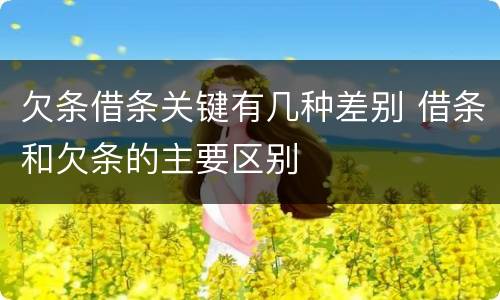欠条借条关键有几种差别 借条和欠条的主要区别