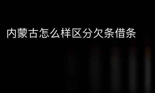 内蒙古怎么样区分欠条借条