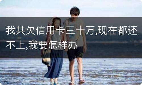 我共欠信用卡三十万,现在都还不上,我要怎样办