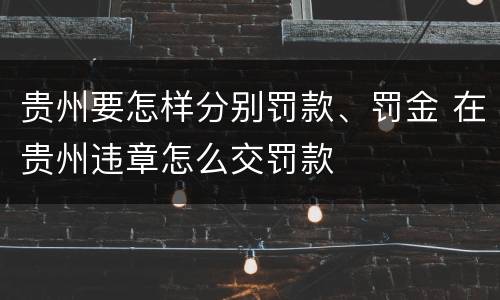 贵州要怎样分别罚款、罚金 在贵州违章怎么交罚款