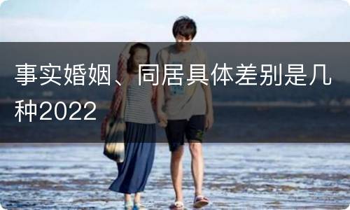 事实婚姻、同居具体差别是几种2022