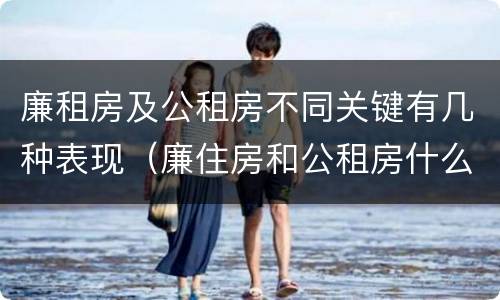 廉租房及公租房不同关键有几种表现（廉住房和公租房什么意识）