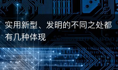 实用新型、发明的不同之处都有几种体现