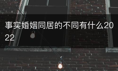 事实婚姻同居的不同有什么2022