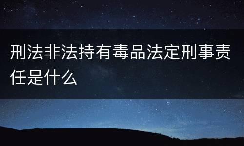 刑法非法持有毒品法定刑事责任是什么