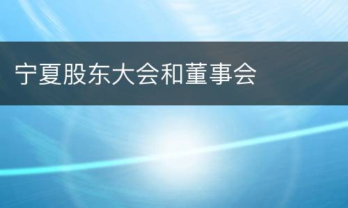 宁夏股东大会和董事会