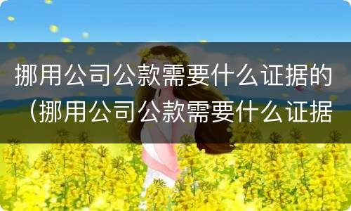 挪用公司公款需要什么证据的（挪用公司公款需要什么证据的条件）