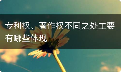 专利权、著作权不同之处主要有哪些体现