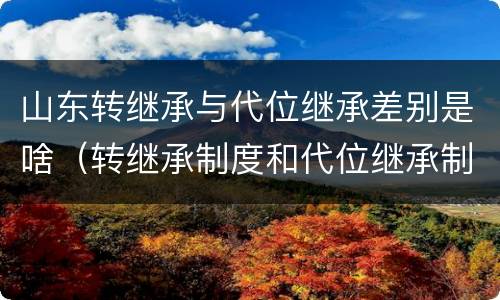 山东转继承与代位继承差别是啥（转继承制度和代位继承制度可以互相取代吗）