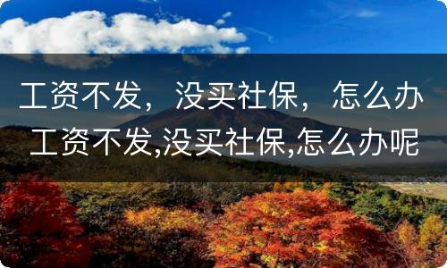 工资不发，没买社保，怎么办 工资不发,没买社保,怎么办呢