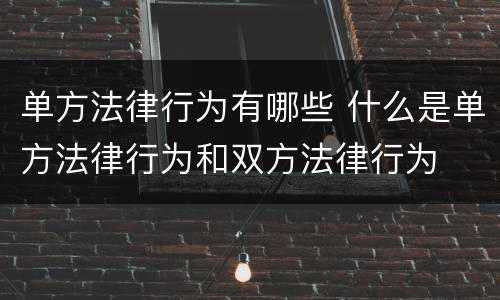 单方法律行为有哪些 什么是单方法律行为和双方法律行为