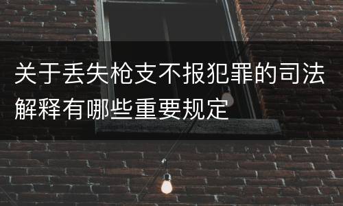 关于丢失枪支不报犯罪的司法解释有哪些重要规定