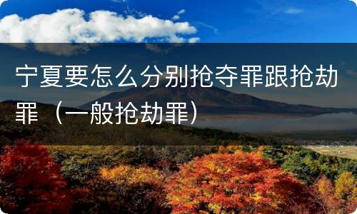 宁夏要怎么分别抢夺罪跟抢劫罪（一般抢劫罪）