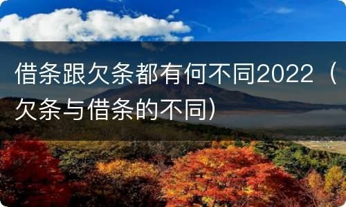 借条跟欠条都有何不同2022（欠条与借条的不同）