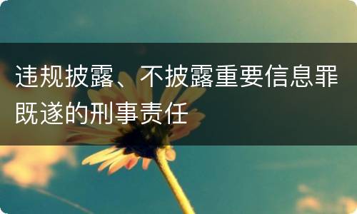 违规披露、不披露重要信息罪既遂的刑事责任