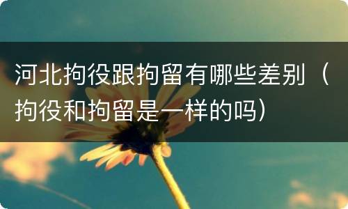 河北拘役跟拘留有哪些差别（拘役和拘留是一样的吗）