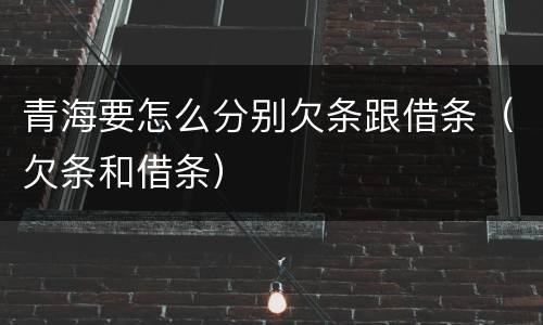 青海要怎么分别欠条跟借条（欠条和借条）