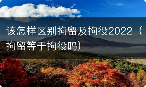 该怎样区别拘留及拘役2022（拘留等于拘役吗）