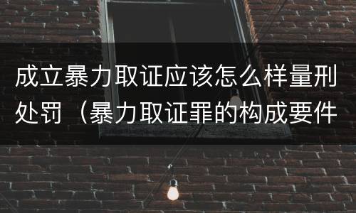成立暴力取证应该怎么样量刑处罚（暴力取证罪的构成要件）