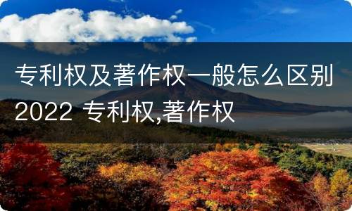 专利权及著作权一般怎么区别2022 专利权,著作权