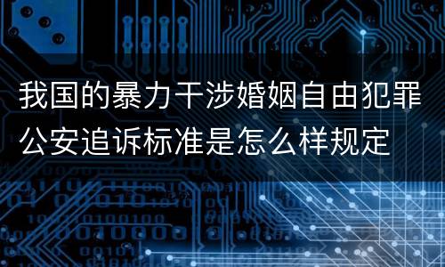 我国的暴力干涉婚姻自由犯罪公安追诉标准是怎么样规定