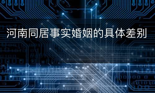 河南同居事实婚姻的具体差别