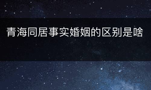 青海同居事实婚姻的区别是啥
