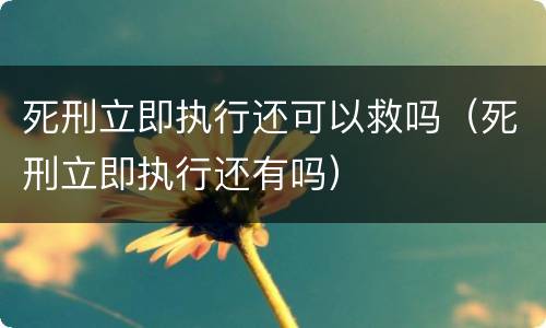 死刑立即执行还可以救吗（死刑立即执行还有吗）