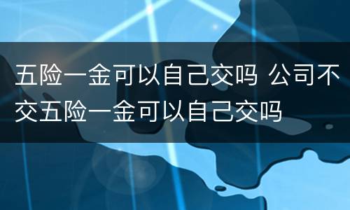 五险一金可以自己交吗 公司不交五险一金可以自己交吗