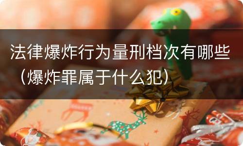法律爆炸行为量刑档次有哪些（爆炸罪属于什么犯）