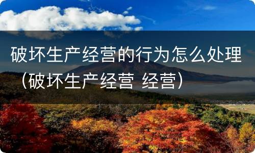 破坏生产经营的行为怎么处理（破坏生产经营 经营）