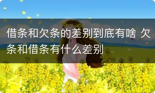 借条和欠条的差别到底有啥 欠条和借条有什么差别