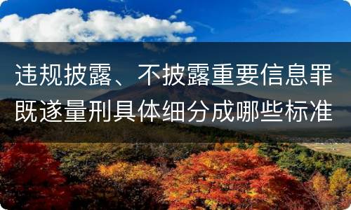 违规披露、不披露重要信息罪既遂量刑具体细分成哪些标准