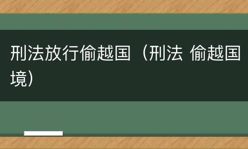 刑法放行偷越国（刑法 偷越国境）