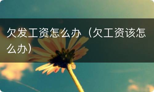 欠发工资怎么办（欠工资该怎么办）