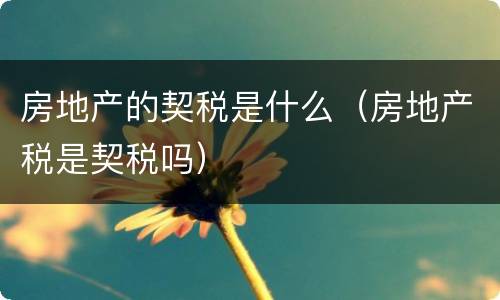 房地产的契税是什么（房地产税是契税吗）