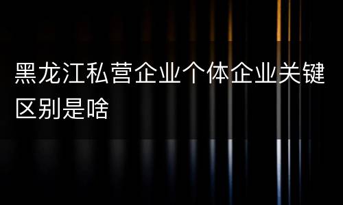 黑龙江私营企业个体企业关键区别是啥