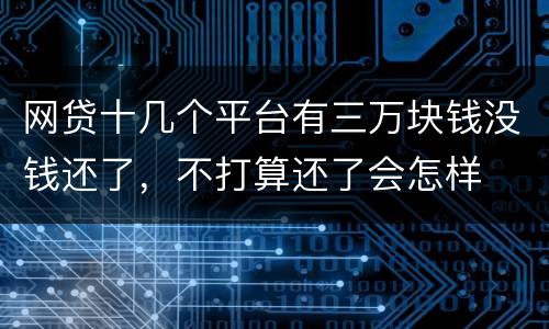 网贷十几个平台有三万块钱没钱还了，不打算还了会怎样