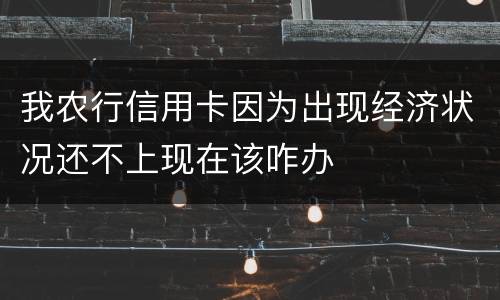 我农行信用卡因为出现经济状况还不上现在该咋办