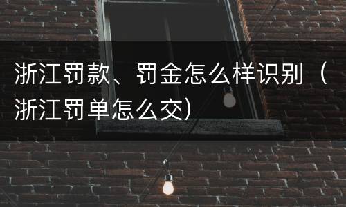 浙江罚款、罚金怎么样识别（浙江罚单怎么交）