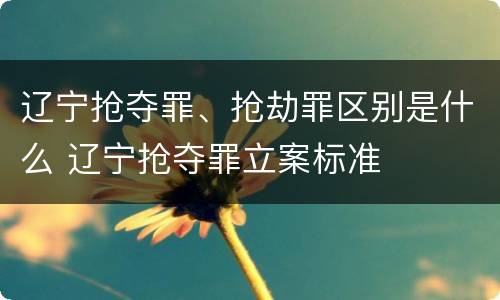 辽宁抢夺罪、抢劫罪区别是什么 辽宁抢夺罪立案标准