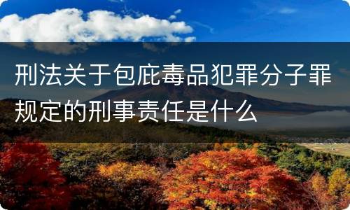 刑法关于包庇毒品犯罪分子罪规定的刑事责任是什么